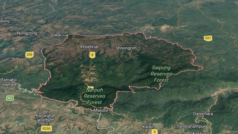 WhatsApp Image 2026-02-05 at 6.44.58 PM