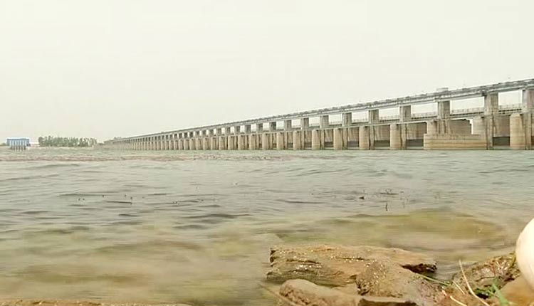 mahanadi-tribunal
