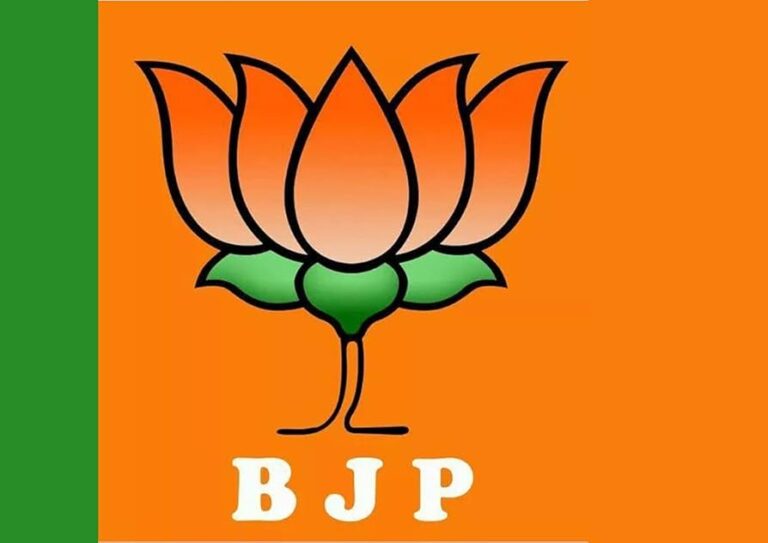 51FjebgUweS._AC_UF894,1000_QL80_