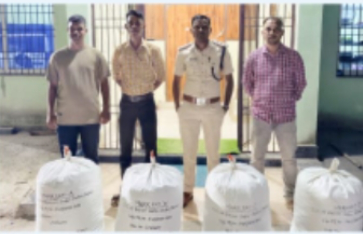 Screenshot_2026-03-17-21-31-09-74