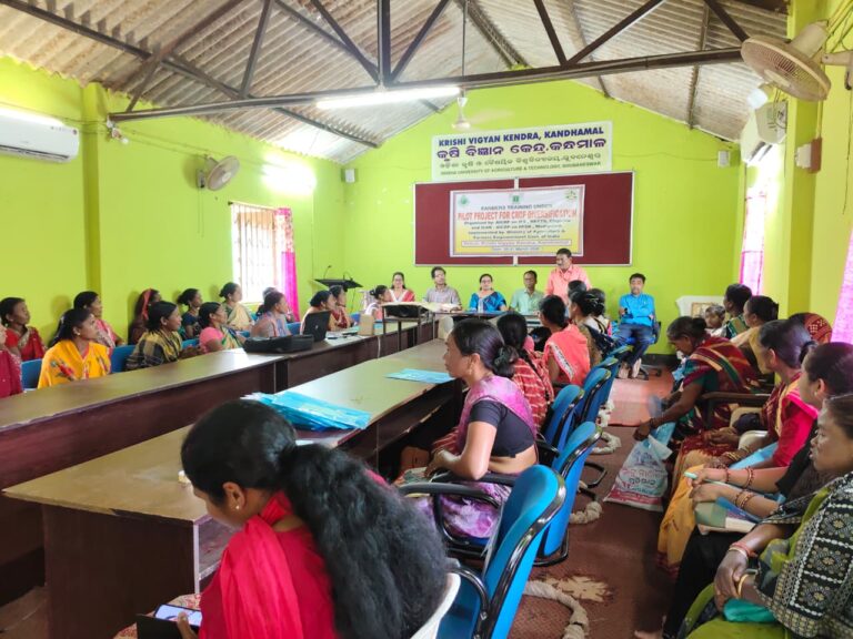 WhatsApp Image 2026-03-22 at 17.00.43