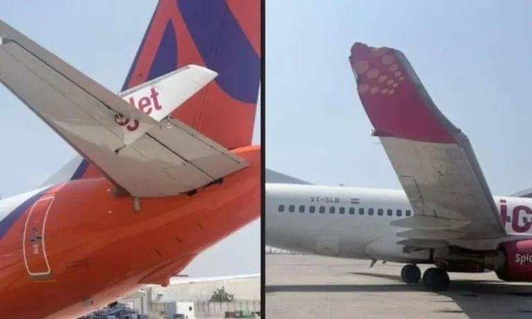 1500x900_1028838-9b0bde2cf1991d6ba2e445f393eacf9c1776338786413272original