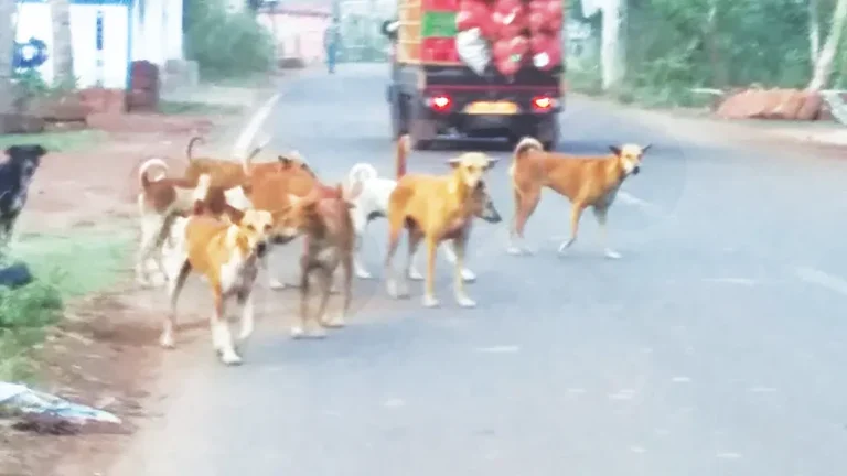 K-7-Bulakukura-T-gai-Nirakarpur