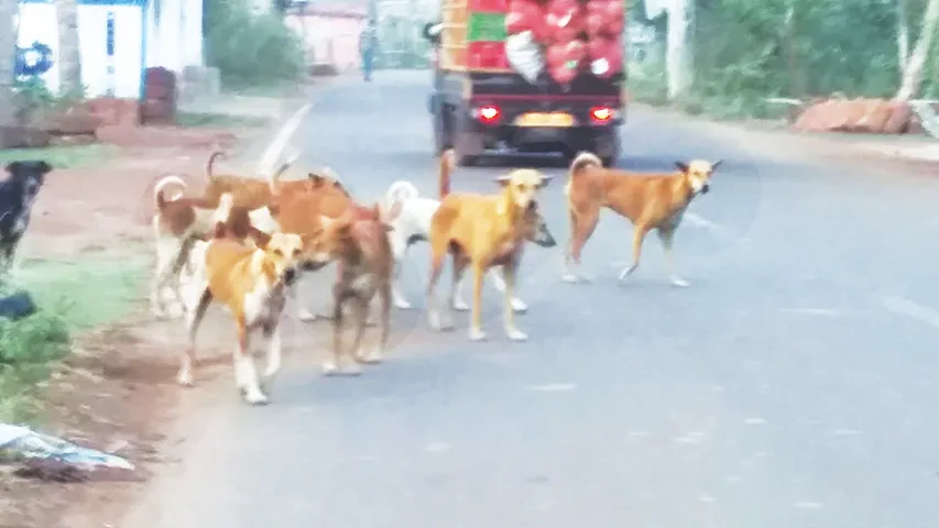 K-7-Bulakukura-T-gai-Nirakarpur