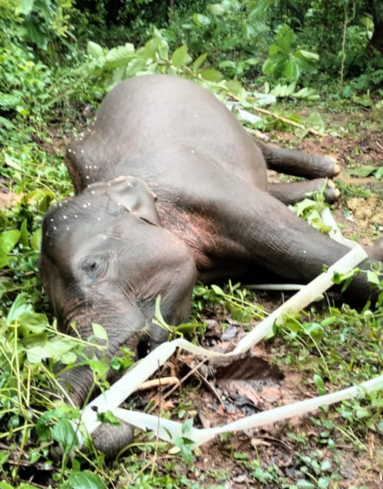 Screenshot_20250714-182558.WhatsApp Business