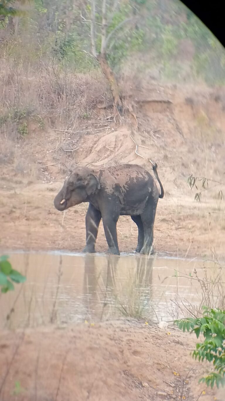 WhatsApp Image 2026-04-18 at 20.45.38