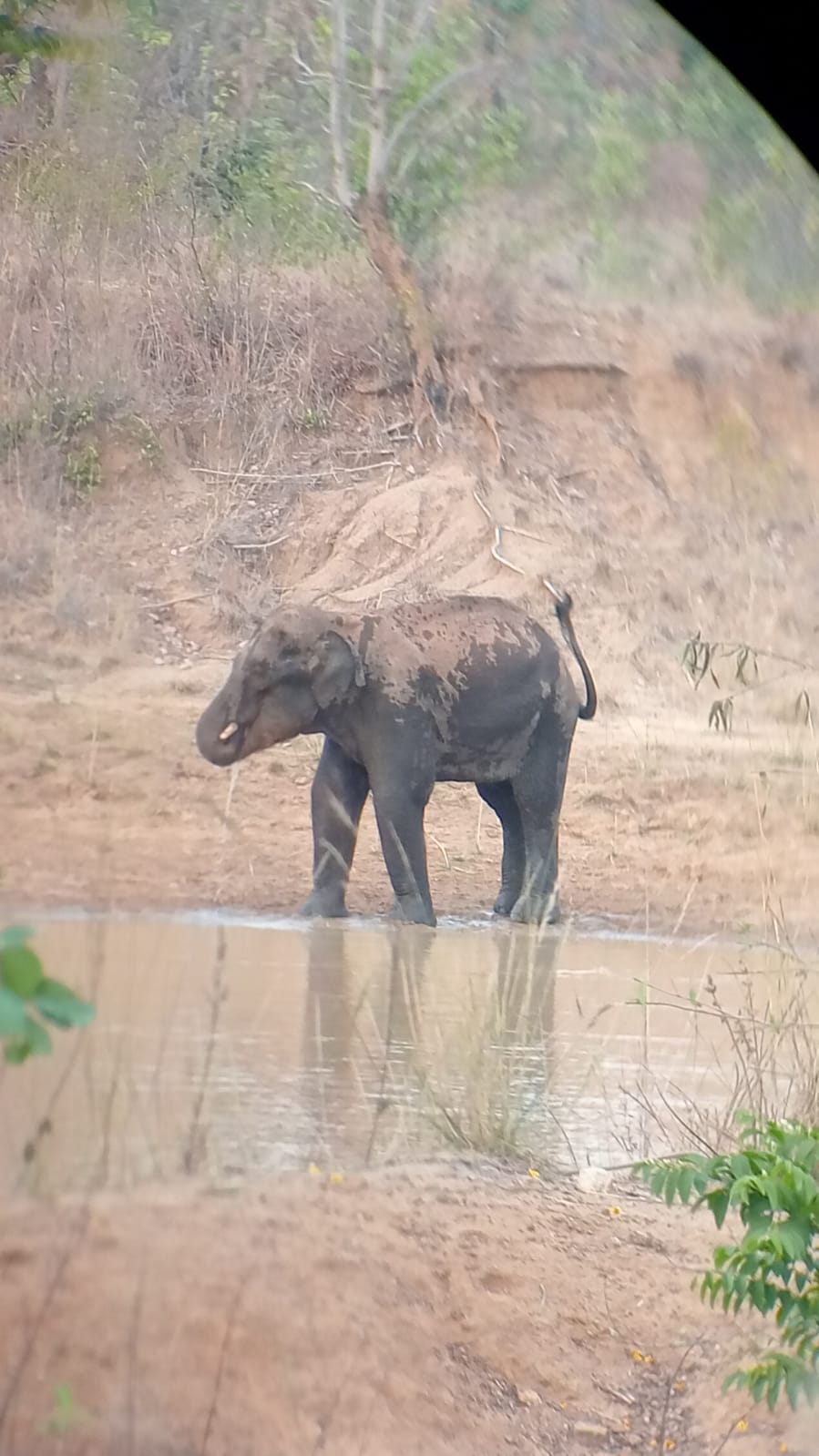 WhatsApp Image 2026-04-18 at 20.45.38