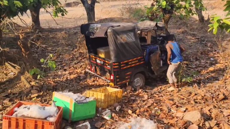 WhatsApp Image 2026-04-18 at 20.45.39