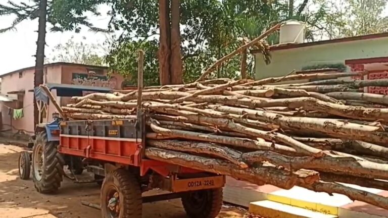 WhatsApp Image 2026-04-18 at 20.45.40