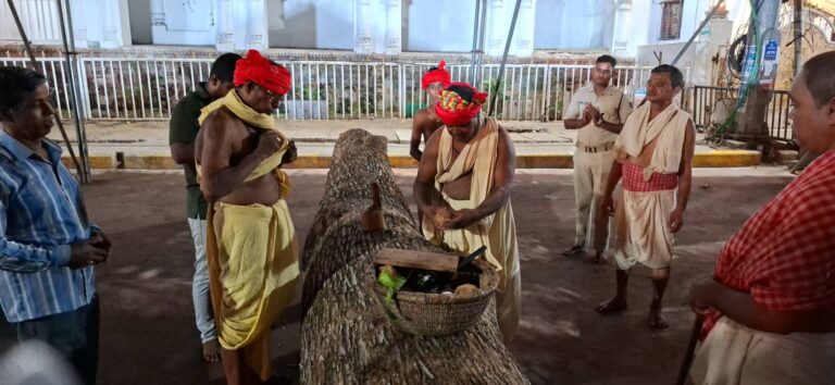 WhatsApp Image 2026-04-20 at 19.28.07