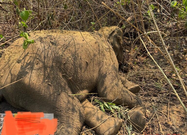 WhatsApp Image 2026-04-20 at 20.06.24