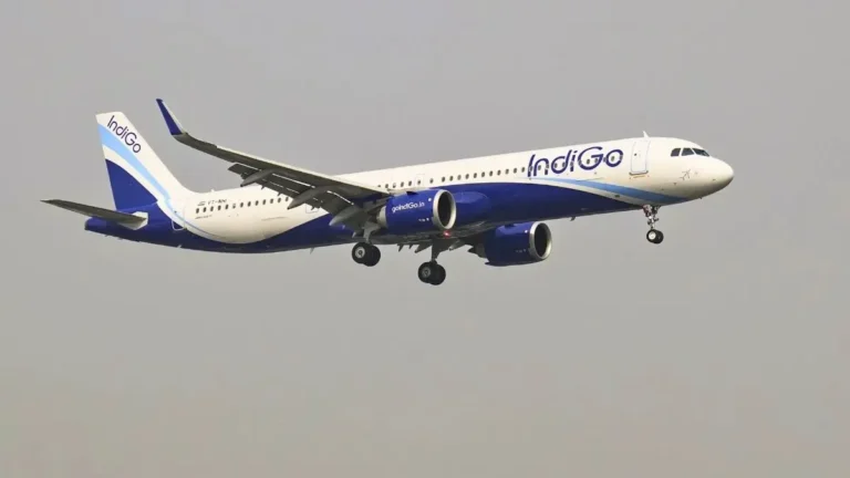 indigo-8-1775055904